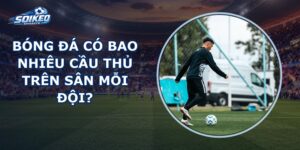Bóng Đá Có Bao Nhiêu Cầu Thủ