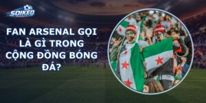 Fan Arsenal Gọi Là Gì