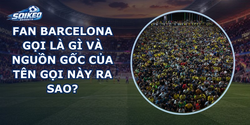 Fan Barcelona Gọi Là Gì