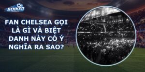 Fan Chelsea Gọi Là Gì