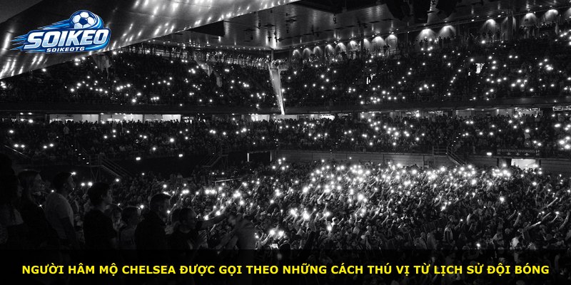 Người hâm mộ Chelsea được gọi theo những cách thú vị từ lịch sử đội bóng