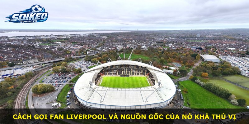 Cách gọi fan Liverpool và nguồn gốc của nó khá thú vị