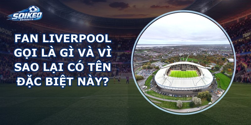 Fan Liverpool Gọi Là Gì