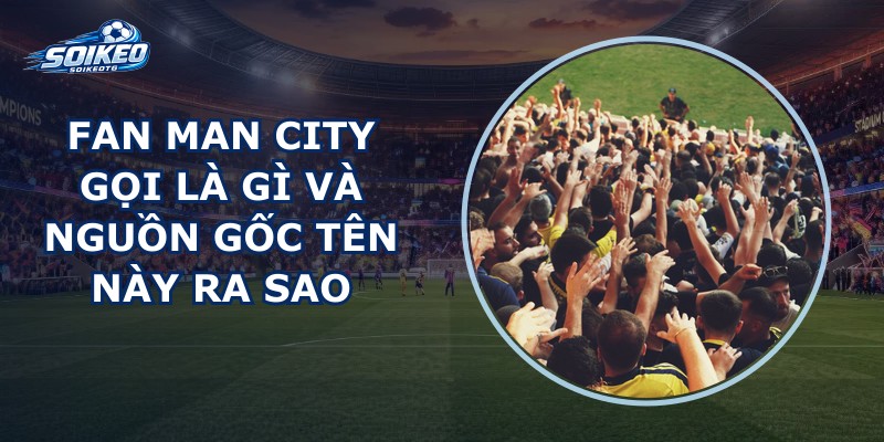 Fan Man City Gọi Là Gì