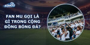 Fan Mu Gọi Là Gì