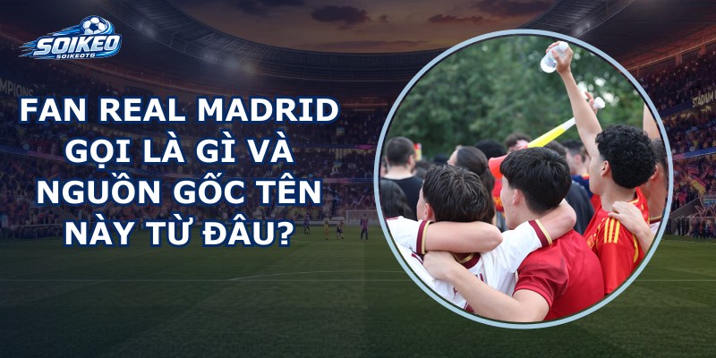 Fan Real Madrid Gọi Là Gì