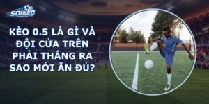Kèo 0.5 Là Gì