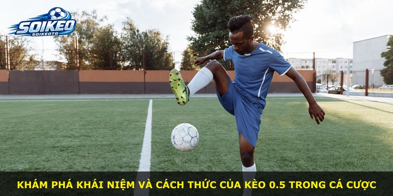 Khám phá khái niệm và cách thức của kèo 0.5 trong cá cược