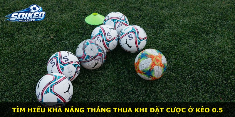 Tìm hiểu khả năng thắng thua khi đặt cược ở kèo 0.5