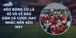 Kèo Bóng Cỏ Là Gì