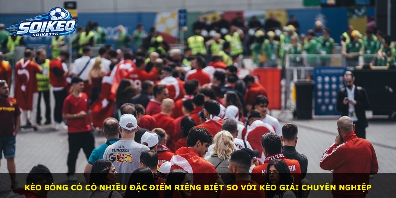 Kèo bóng cỏ có nhiều đặc điểm riêng biệt so với kèo giải chuyên nghiệp