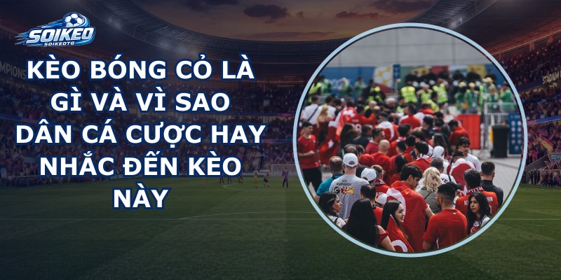 Kèo Bóng Cỏ Là Gì