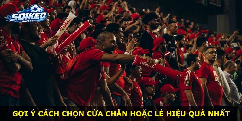 Gợi ý cách chọn cửa chẵn hoặc lẻ hiệu quả nhất