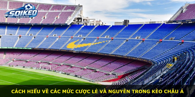 Cách hiểu về các mức cược lẻ và nguyên trong kèo Châu Á