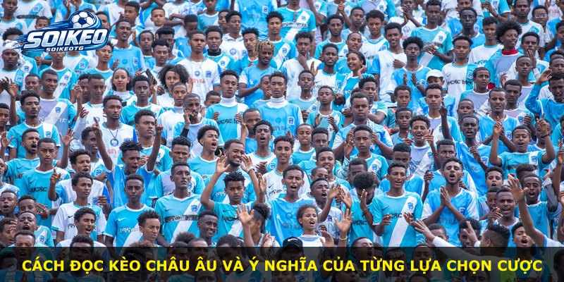 Cách đọc kèo Châu Âu và ý nghĩa của từng lựa chọn cược