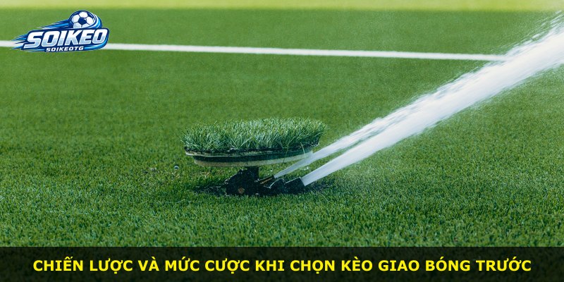 Chiến lược và mức cược khi chọn kèo giao bóng trước