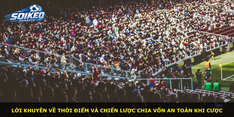 Lời khuyên về thời điểm và chiến lược chia vốn an toàn khi cược