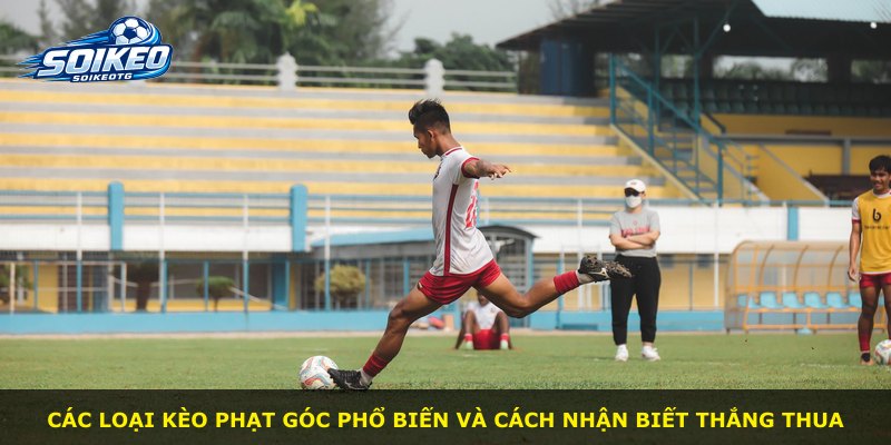 Các loại kèo phạt góc phổ biến và cách nhận biết thắng thua