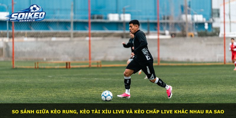 So sánh giữa kèo rung, kèo tài xỉu live và kèo chấp live khác nhau ra sao