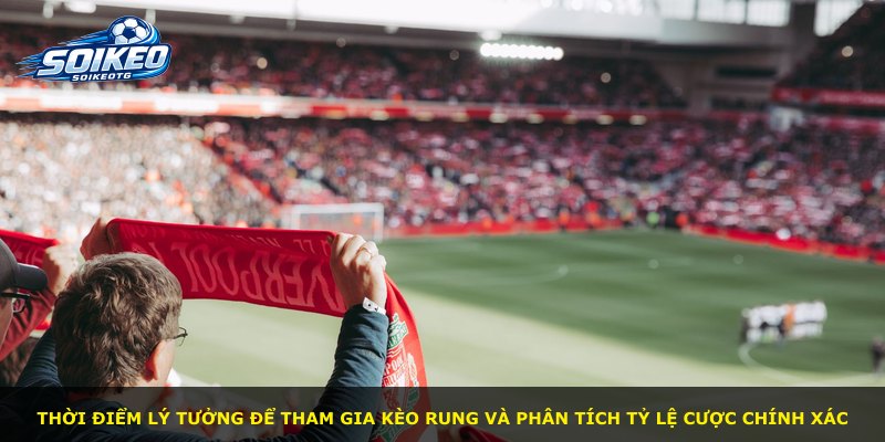 Thời điểm lý tưởng để tham gia kèo rung và phân tích tỷ lệ cược chính xác