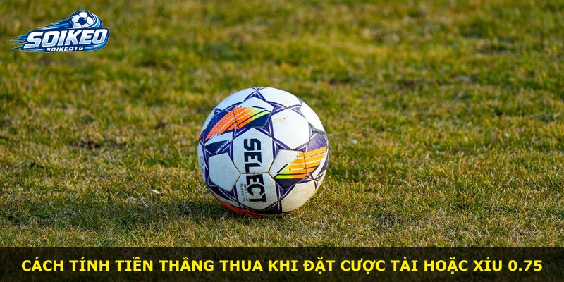 Cách tính tiền thắng thua khi đặt cược tài hoặc xỉu 0.75