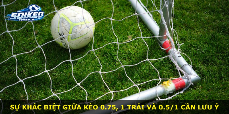Sự khác biệt giữa kèo 0.75, 1 trái và 0.5/1 cần lưu ý