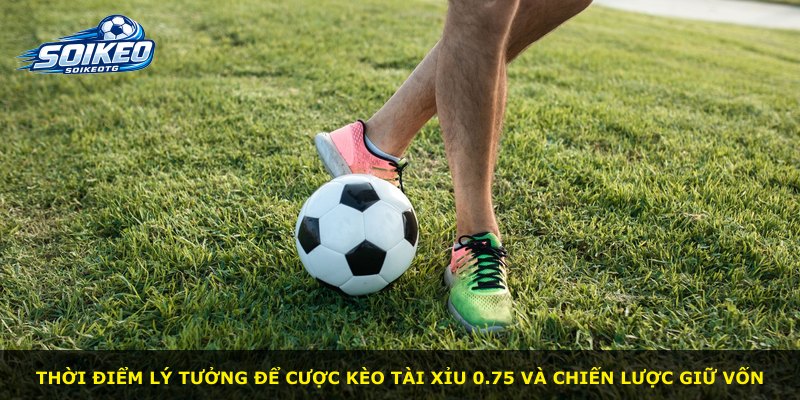 Thời điểm lý tưởng để cược kèo tài xỉu 0.75 và chiến lược giữ vốn