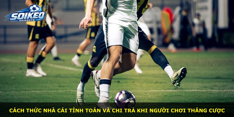 Cách thức nhà cái tính toán và chi trả khi người chơi thắng cược