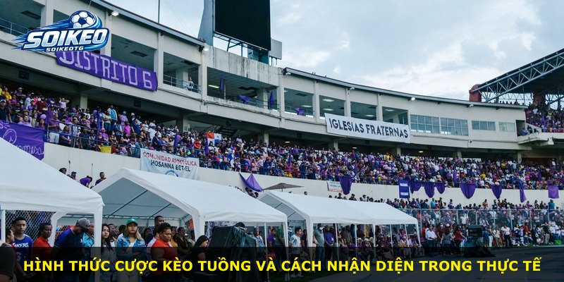 Hình thức cược Kèo Tuồng và cách nhận diện trong thực tế
