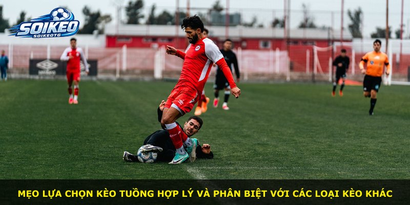 Mẹo lựa chọn Kèo Tuồng hợp lý và phân biệt với các loại kèo khác