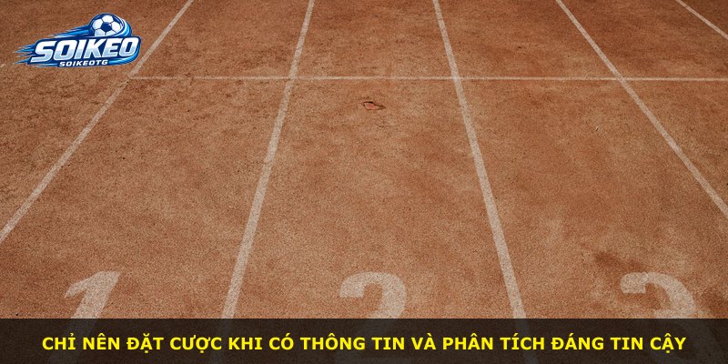 Chỉ nên đặt cược khi có thông tin và phân tích đáng tin cậy