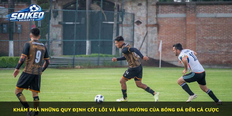 Khám phá những quy định cốt lõi và ảnh hưởng của bóng đá đến cá cược