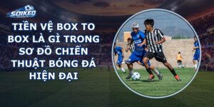 Tiền Vệ Box To Box Là Gì