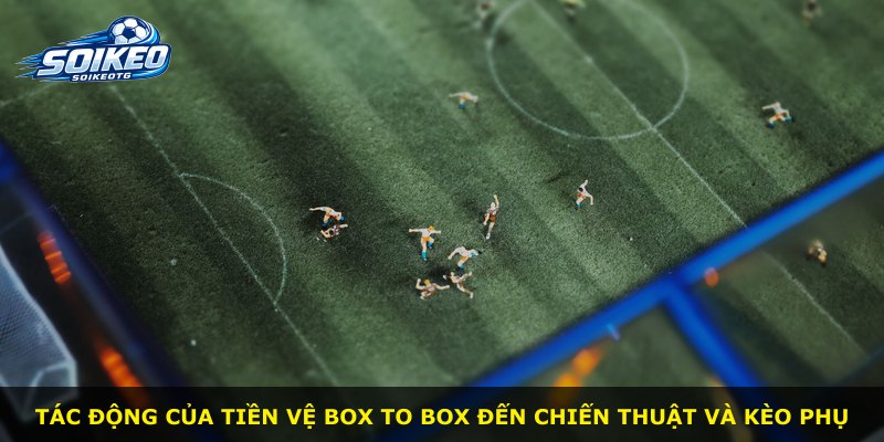 Tác động của tiền vệ Box to Box đến chiến thuật và kèo phụ