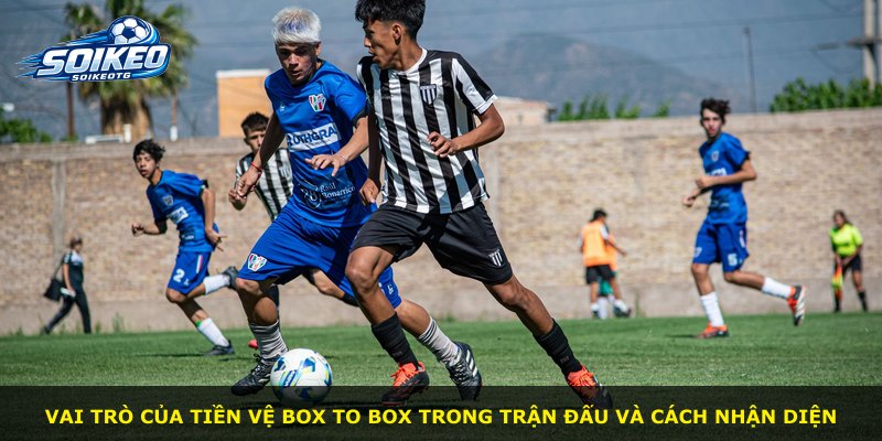 Vai trò của tiền vệ Box to Box trong trận đấu và cách nhận diện