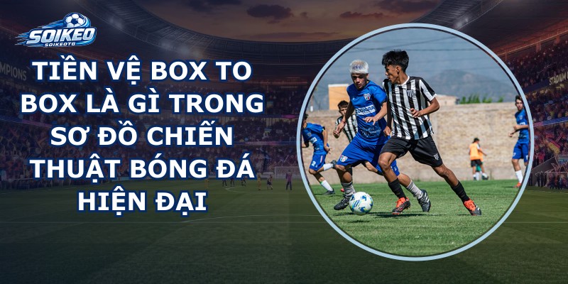 Tiền Vệ Box To Box Là Gì