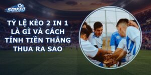 Tỷ Lệ Kèo 2 In 1